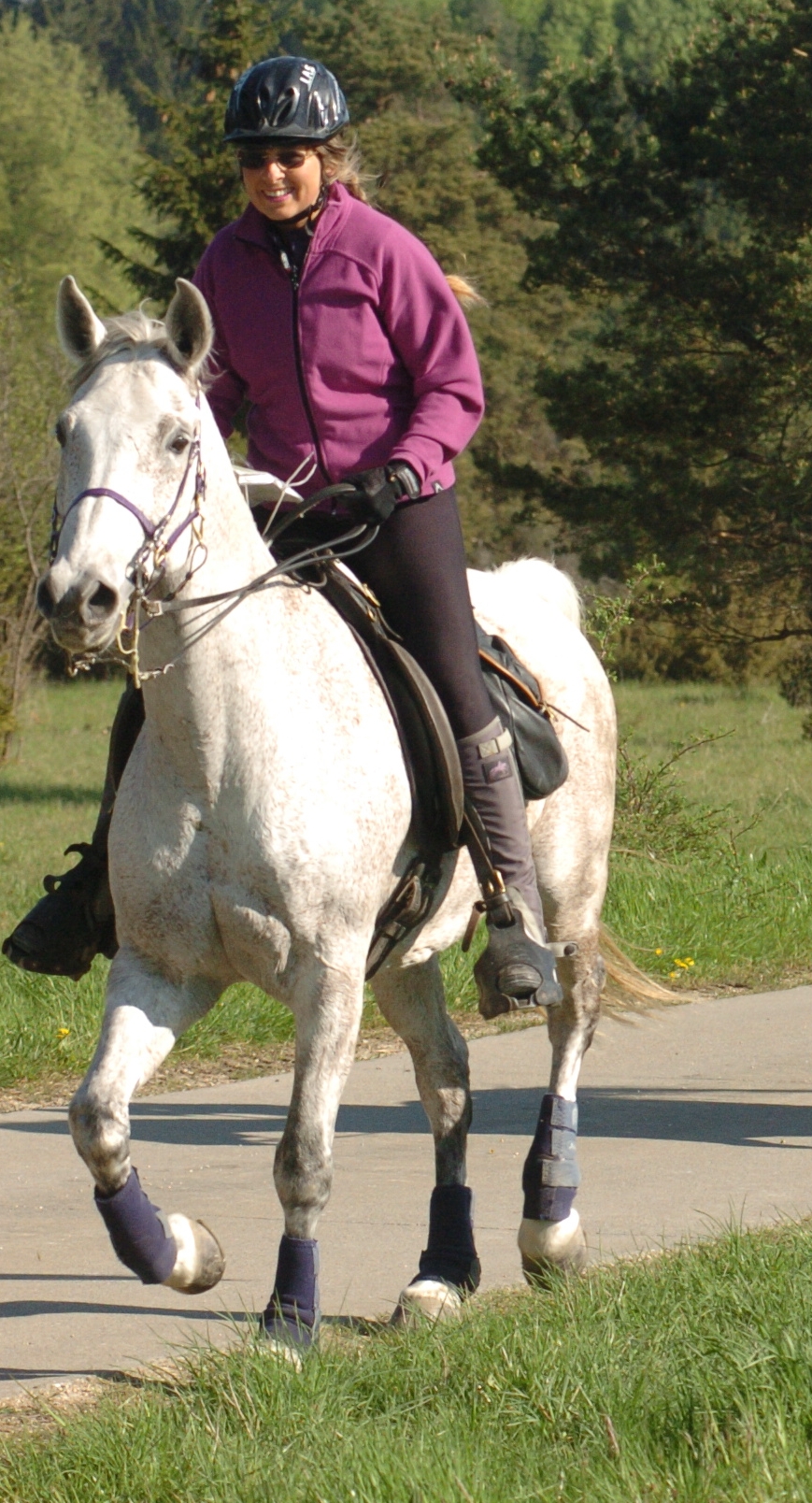 Distanzreiten Katrin Falke-Schmidt mit Obelix Beluga 2008