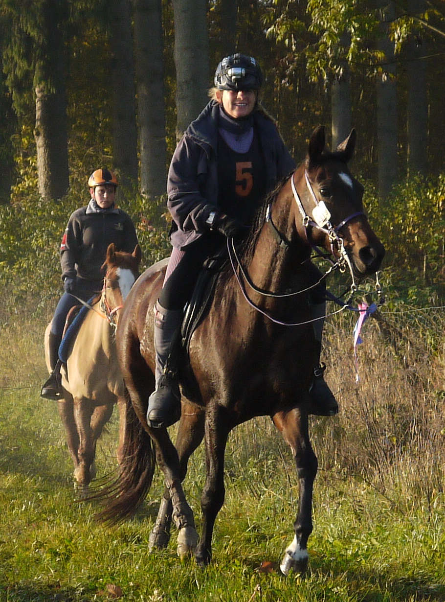 Distanzreiten KFS mit Larogna CEI* 100km Weissenhorn 2012