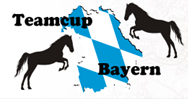 TeamCup Logo 2014