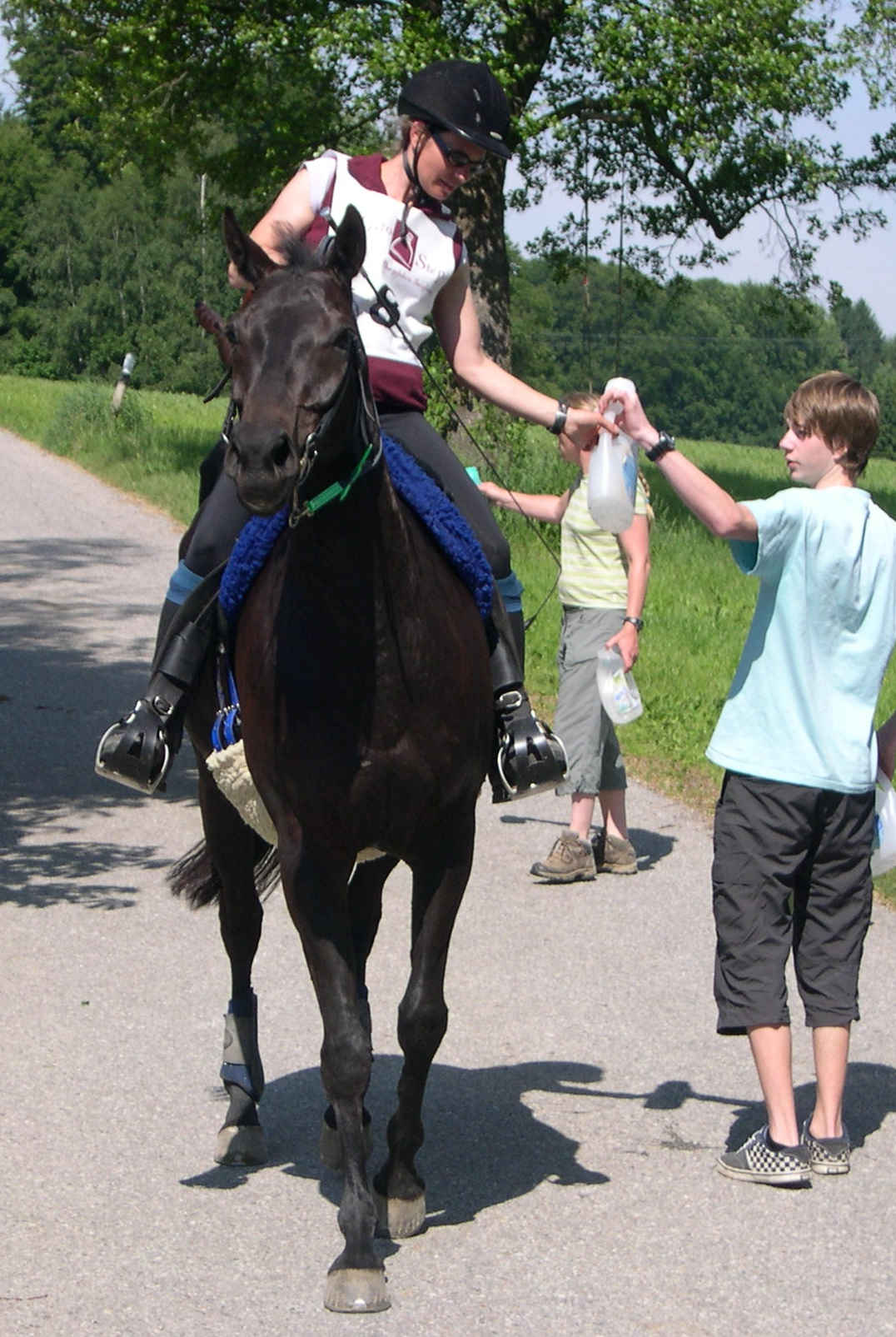 Westmann mit Familientross auf KFS